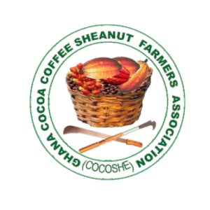 GCCSFA
