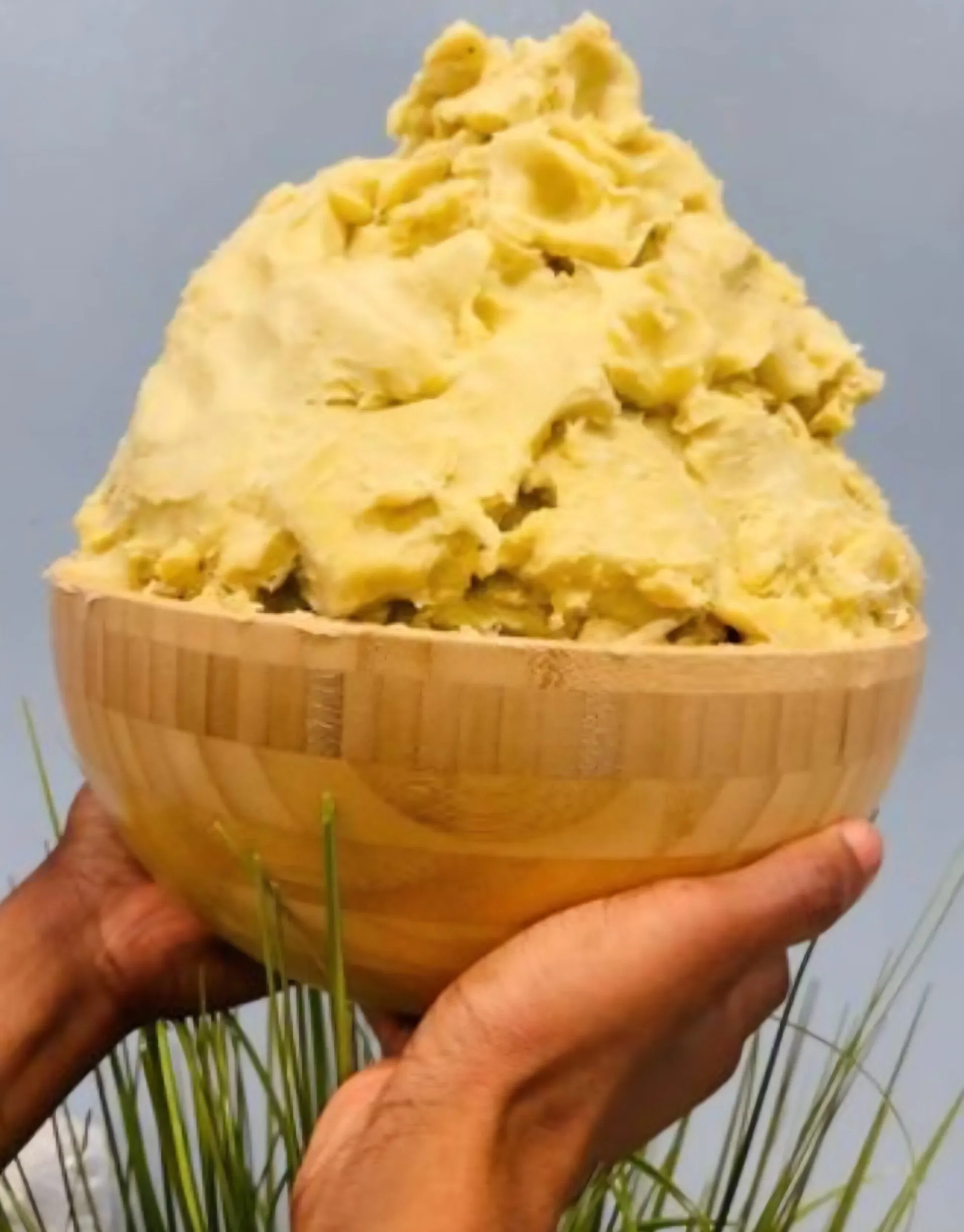 Government targets shea industry growth as Tamale prepares for World Shea Expo 2025