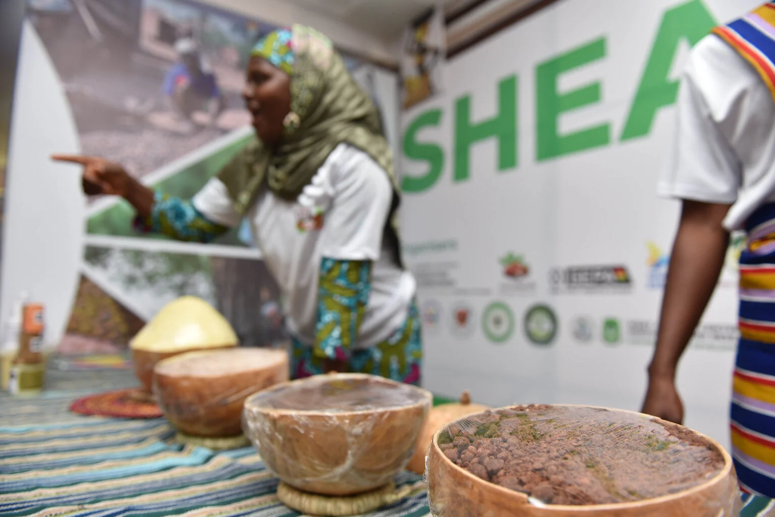 World Shea Expo 2025: Ghana positions shea as billion-dollar industry